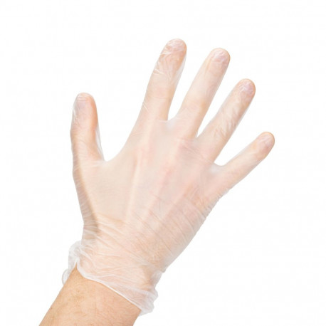 VINYL GLOVES POWDER FREE L 100PS