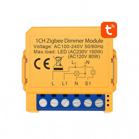 Smart socket switch ZigBee Avatto ZDMS16-1 TUYA