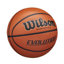 Evolution korvpall