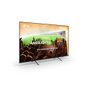 Philips 55PML9019/12 teler