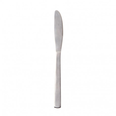 2 roostevabast terasest nuga 21.5 cm