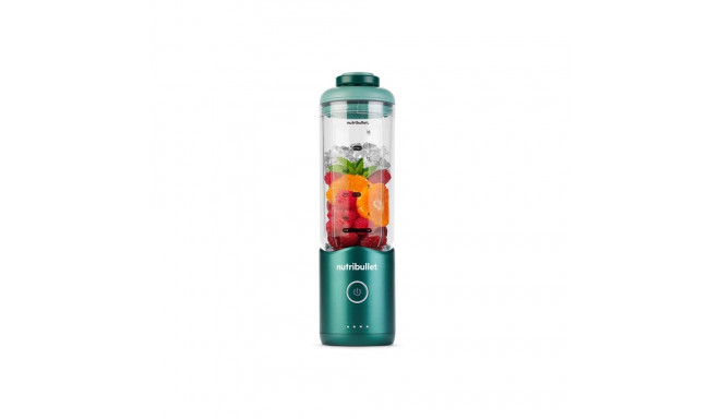 NBP013GR Nutribullet blender