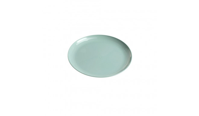 madal suur plasttaldrik, roheline