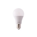 LED pirn A75 10W E27 2700K 1055lm andur