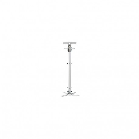 Optoma OCM815