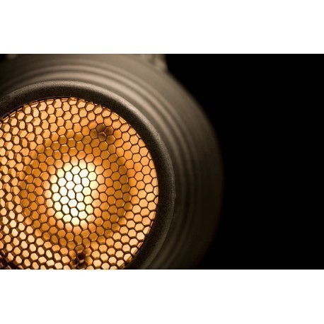 Elinchrom Snoot & Grid (26061)