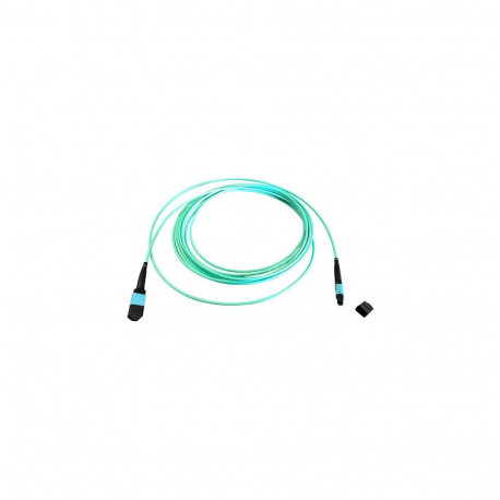 "EFB MTP(F)-MTP(F) Patchkabel OM3 12 Fasern Typ B LSZH aqua 2m"