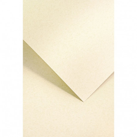 Disainpaber Nature Light Beige A4, 220g/20lk