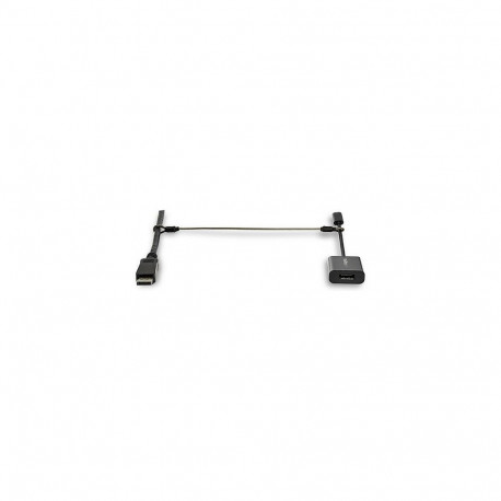 "StarTech Sicherheitskabel - 20er Pack - Kabelschloss - verstellbar - Sicherheitskabel - Silber - 30