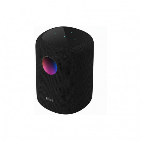 "WiiM LPWISND Sound Smart Speaker, schwarz"