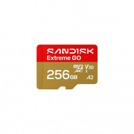 SanDisk Extreme GO 256 GB MicroSDXC UHS-I