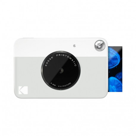 Kodak Printomatic Grey
