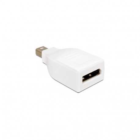 adapter Mini DisplayPort-DisplayPort, valge