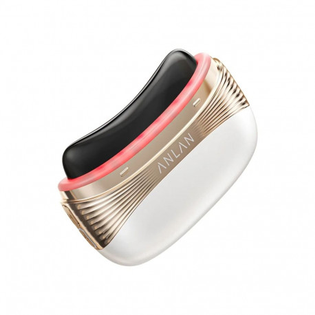 ANLAN 02-AGSY53-02A 2-in-1 Face and Head Massager