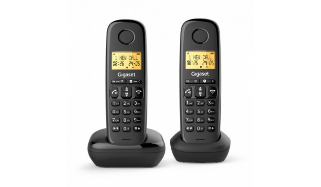 Cordless phone Basic 100 Duo