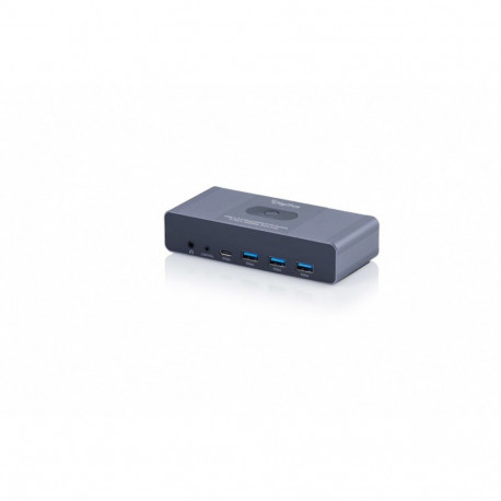 KVM lüliti DS-12856 2-port