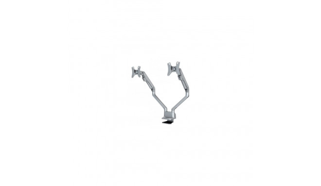 NEWSTAR FLAT SCREEN DESK MOUNT (CLAMP/GROMMET)  10-32" SILVER