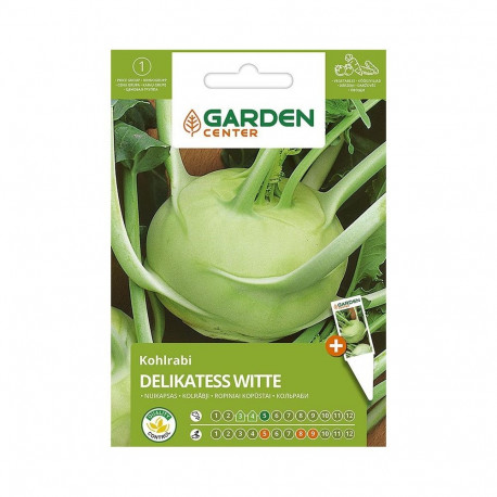 CABBAGE SEEDS KOHLRABI DELICACY WITTE
