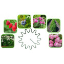RING PLANT SUPPORT D25CM 10PCS