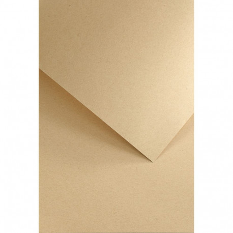 Disainpaber Nature Dark Beige A4 220g 20lehte pakis