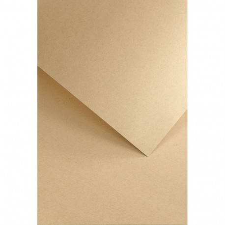 Disainpaber Nature Dark Beige A4 120g 50lehte pakis