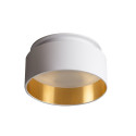 LUMINARE GOVIK DSO-W/G