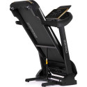 Zipro Pacemaker Gold iConsole+