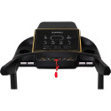 Zipro Pacemaker Gold iConsole+