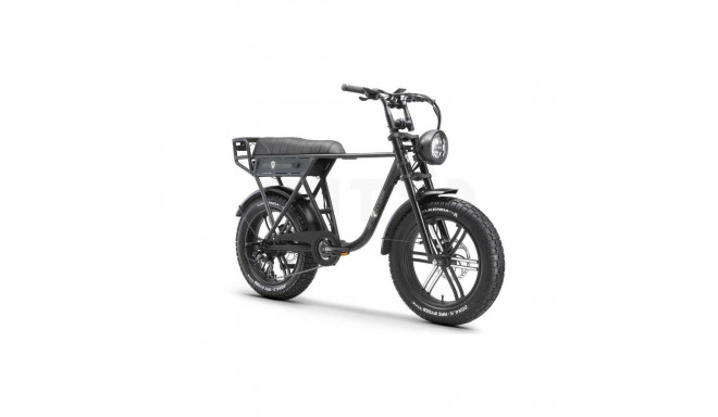 Ape Ryder A10 20'''' Black