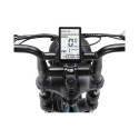 Ape Ryder A10 20'''' Black