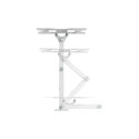 Kivi MOTION-223W