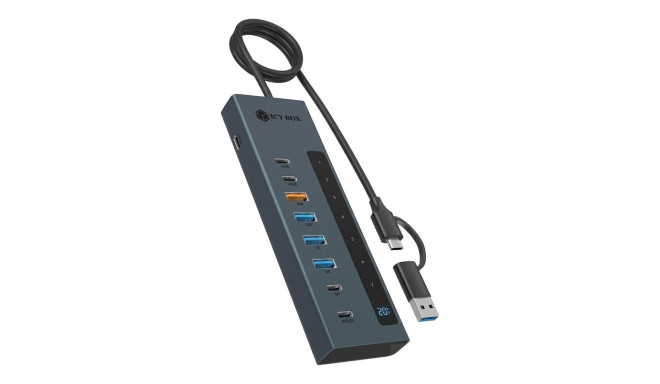 IcyBox jaotur 9-in-1 USB 3.2 Type-C/Type-A