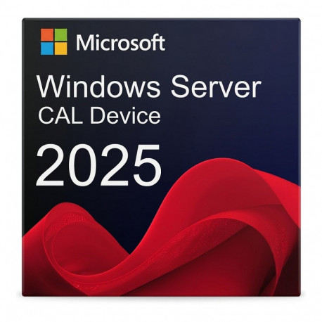 Microsoft WINSVR CAL 2025 5 seadmele