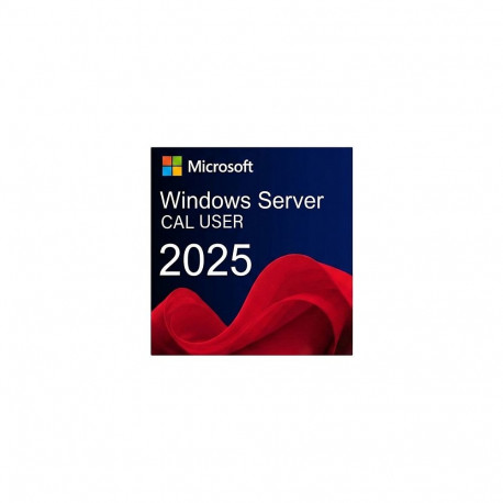 Microsoft WINSVR CAL 2025 5 kasutajale