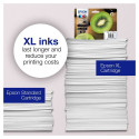 Epson 202 C13T02G14010 must HC