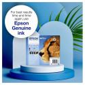 Epson T0713 magenta tint