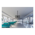 NEOMOUNTS Back-to-Back Screen Ceiling Mount Height 106-156cm