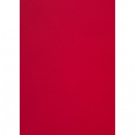 Disainpaber Curious Skin Red A4 270g 10 lehte pakis