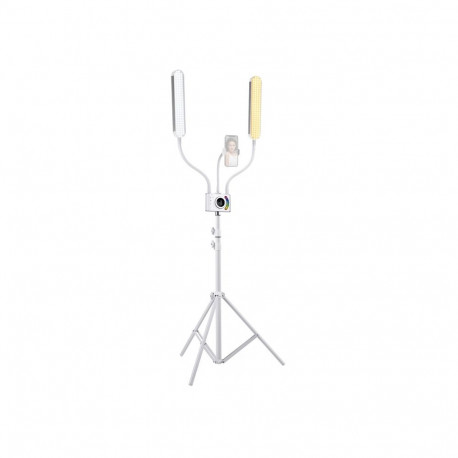 Neewer BH40C Flexible Two-Arm Lighting Kit