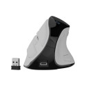 Natec Mouse | Euphonie Pro | Wireless | 2.4 GHz, Bluetooth | White