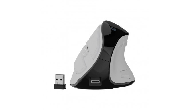 Natec Mouse | Euphonie Pro | Wireless | 2.4 GHz, Bluetooth | White