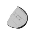 Natec Mouse | Euphonie Pro | Wireless | 2.4 GHz, Bluetooth | White