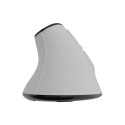 Natec Mouse | Euphonie Pro | Wireless | 2.4 GHz, Bluetooth | White