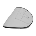 Natec Mouse | Euphonie Pro | Wireless | 2.4 GHz, Bluetooth | White