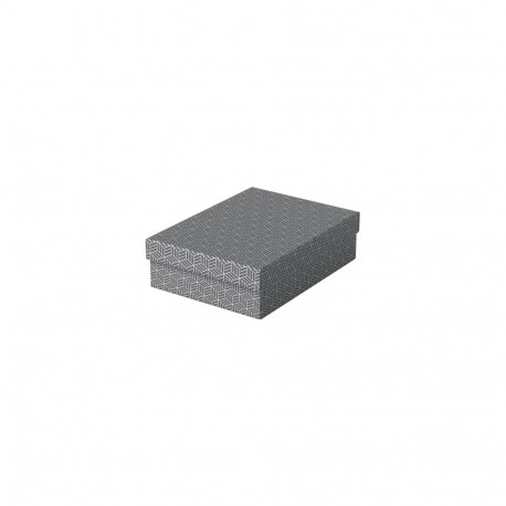 Hoiukast kaanega, kokkupandav, hall, 3 tk komplekt, 265 x 100 x 360 mm, Esselte Home Storage Box Low
