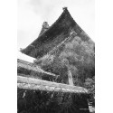 Kodak Snapic A1, grey