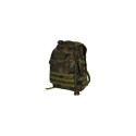 Tactical Backpack - 3-Day Assault Pack 20L Forest Panther