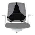Ergonomic Back Support - Fellowes Mesh Pillow Adjustable Black