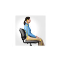 Ergonomic Back Support - Fellowes Mesh Pillow Adjustable Black