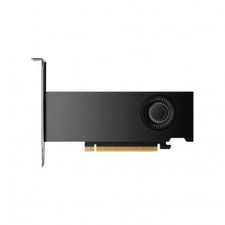Video Board - PNY NVIDIA RTX 2000 Ada Generation 16 GB GDDR6
